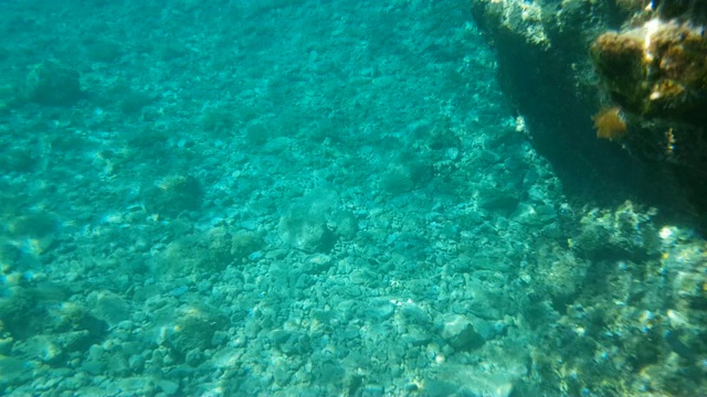 美丽的绿松石背景的海底与小石头。日光。阳光。视频下载