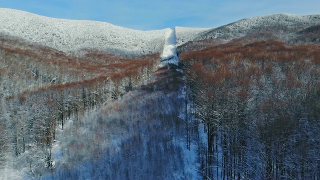 飞翔在积雪覆盖的冬季山林里，飞翔在清晨飘浮着雾气的冬日阳光稻田里视频下载