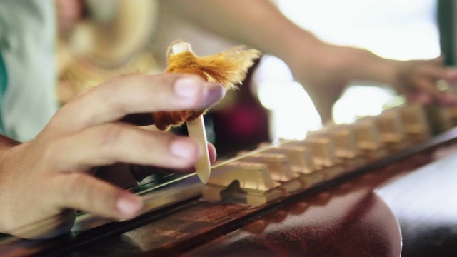 琴乐器泰国。视频素材