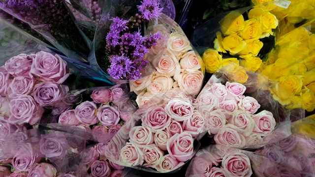 新鲜的玫瑰花香，春天的花束视频素材