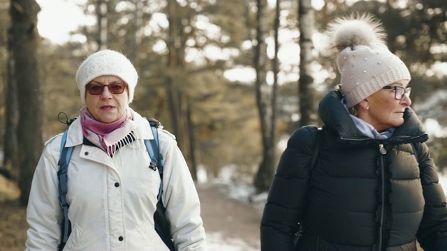 一对活跃的老年夫妇在冬天徒步旅行视频素材