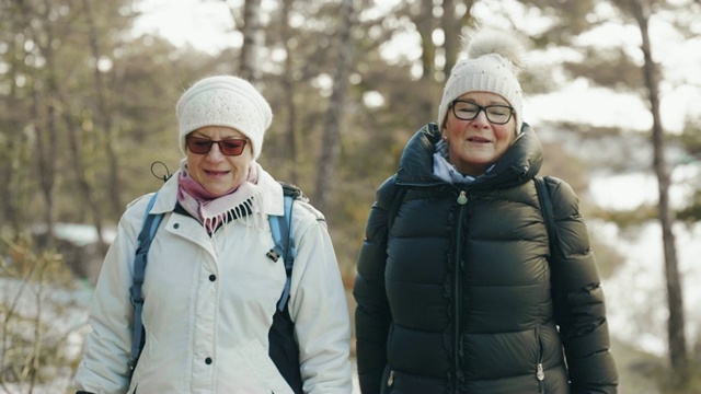 一对活跃的老年夫妇在冬天徒步旅行视频素材