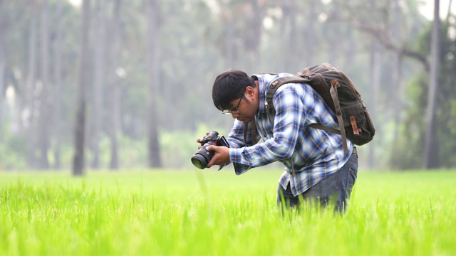 一个年轻人正在拍水稻视频下载