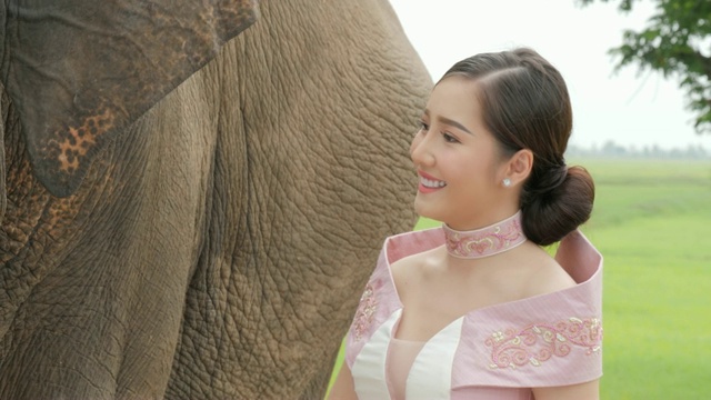 温柔的年轻迷人的亚洲女人在传统服装与大象。理念:爱动物，温柔，爱自然。视频素材
