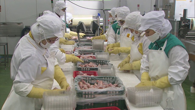韩国鸡肉加工厂和生产线工人的观点视频下载