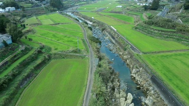 稻田和河流鸟瞰图视频素材