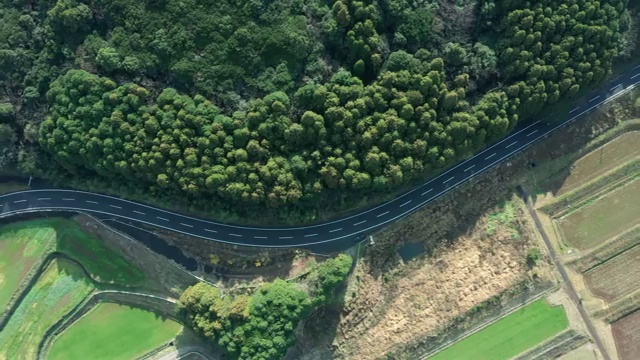 森林和稻田之间的公路鸟瞰图视频素材