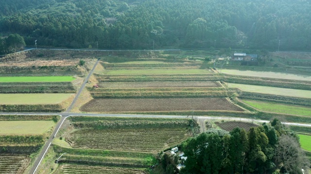 日本稻田景观视频素材