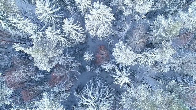 冬天的风景。鸟瞰图视频下载