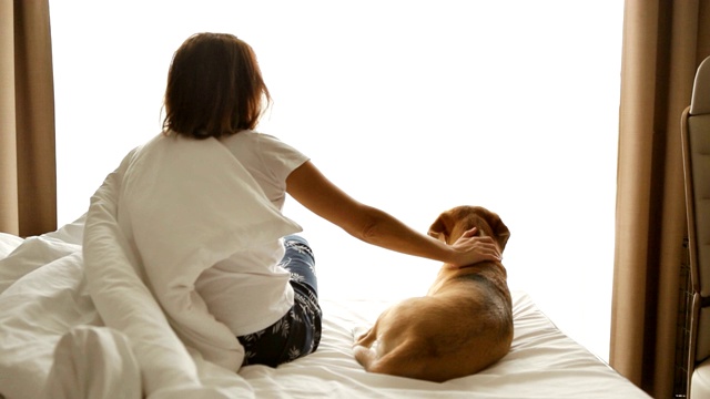 一个女人抱着一只狗坐在床上，背景是明亮的窗户视频素材