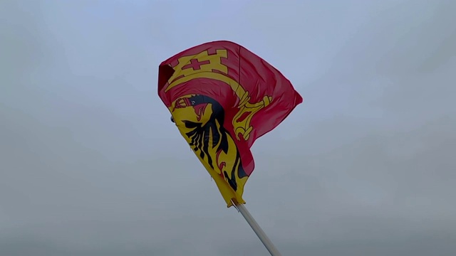 多云天空下的日内瓦国旗视频下载