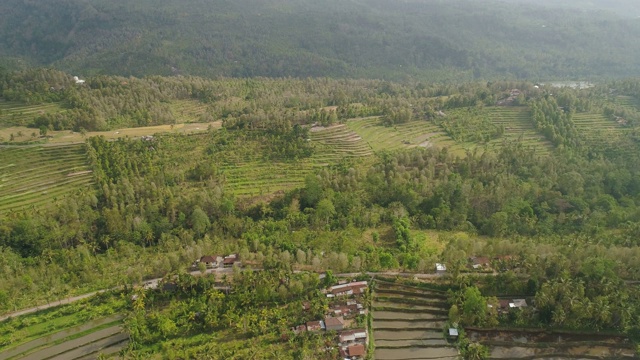 热带景观与农业土地在印度尼西亚视频素材