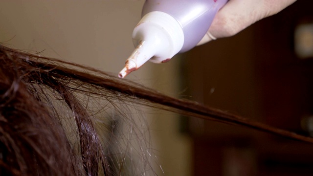 近距离肖像的发型师的手应用染发剂染色褐发视频素材