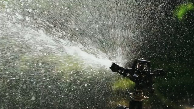 草坪、花园自动浇水。视频下载