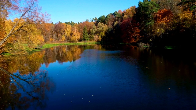 五彩缤纷的秋日森林在湖面上视频素材