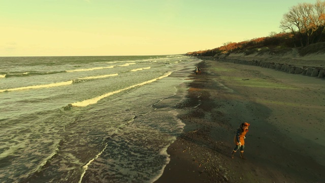 这位55岁的成熟活跃的女性正在海滩上和她的狗玩耍视频下载