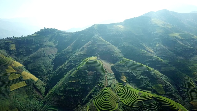 鸟瞰图越南西北部的梯田，收获季节的稻田在木仓寨，Yen Bai省，越南视频素材