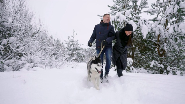 男人和女人与西伯利亚哈士奇行走在冬季森林视频素材