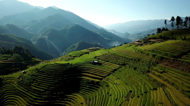梯田在丘陵或山区耕作，通常在东部，南部和东南亚耕作视频素材
