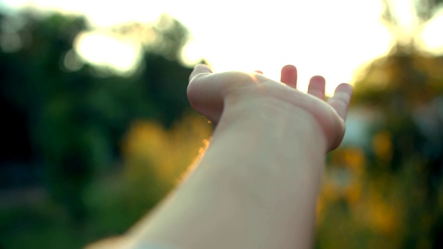 女人用手触摸阳光视频素材