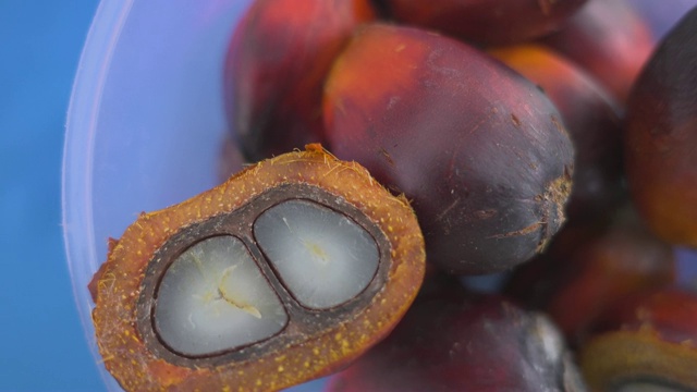 棕榈莓分开制作棕榈油视频下载