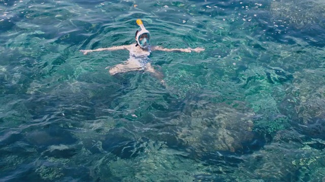 年轻女子浮潜在蓝色的热带水穿着白色泳衣视频素材