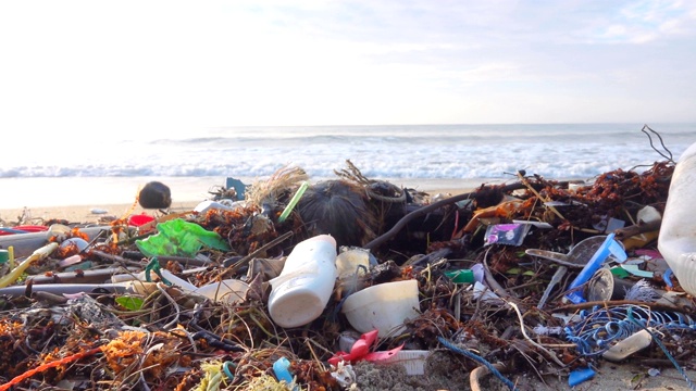 被塑料瓶污染的海滩垃圾堆视频素材