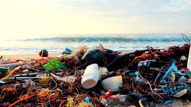 4K移动摄影:被塑料瓶污染的海滩视频下载