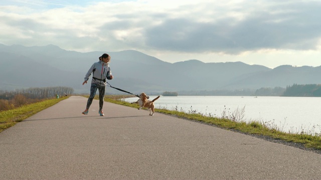 一名年轻女性在晨跑时与她的比格犬玩耍的4K视频视频素材
