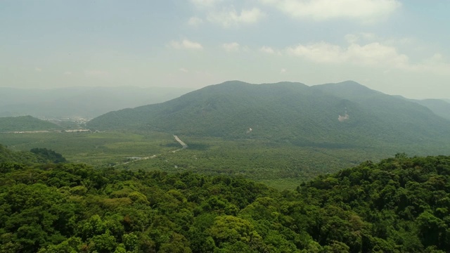 巴西的道路和森林视频下载