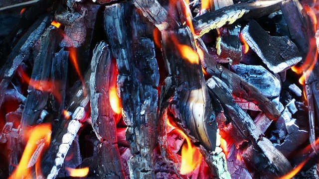 煤和木头燃烧视频素材
