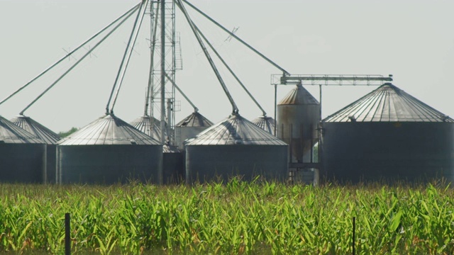 镜头镜头穿过几个粮仓，前景是一片绿色的玉米地。视频素材