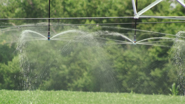 中心点灌溉系统的洒水喷头;把水喷在地里的庄稼上。视频素材