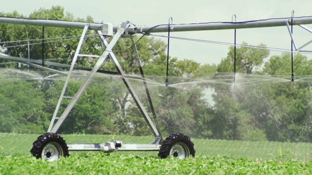 一个灌溉系统喷洒水并在一片年轻的大豆地里移动。视频素材