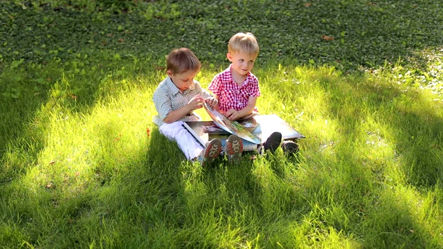 两个小弟弟坐在公园的草地上看相册。视频素材
