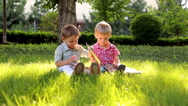 两个小弟弟坐在公园的草地上看相册。视频素材