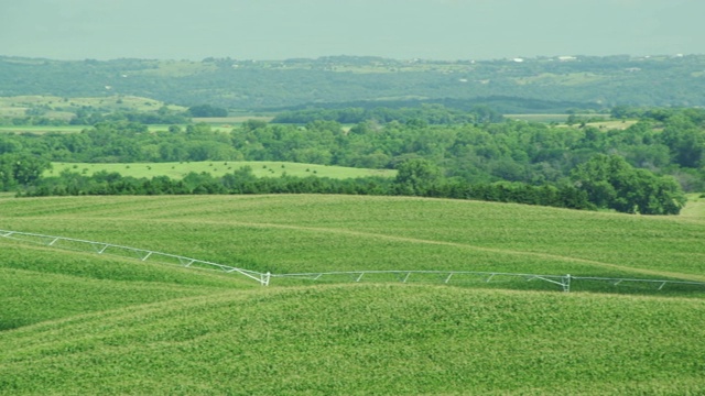 镜头摇摄了一片翠绿的农业景观，有农田、丘陵、灌溉系统和奶牛在田里吃草。视频素材