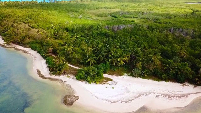 沙和棕榈树在Saona岛在多米尼加共和国视频下载