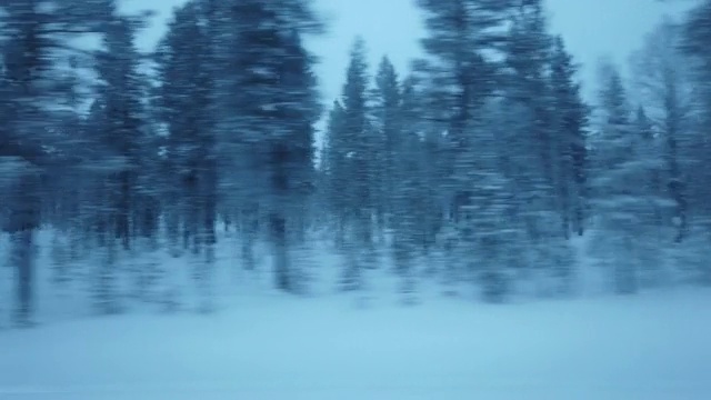 冬天在路上行驶，在阴天从车窗里看视频素材