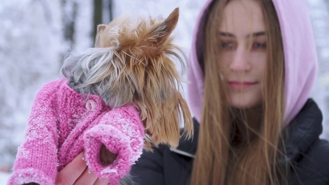 年轻女子在冬天的公园里用毛衣养小狗。视频素材