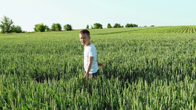 好奇的男孩站在球场上看着远方的绿色背景。视频素材