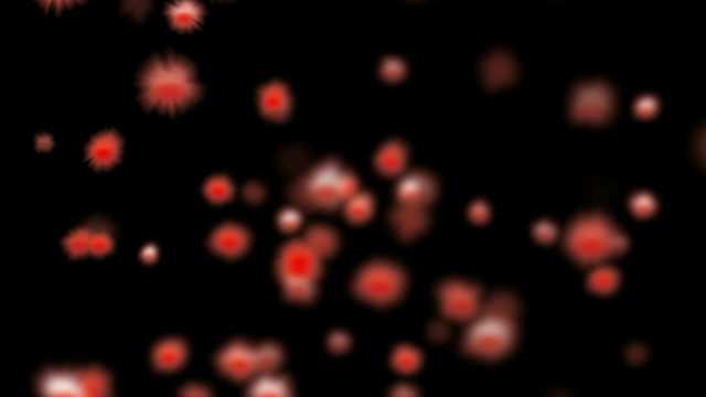 活生生的珊瑚生物漂浮在黑色的背景视频素材