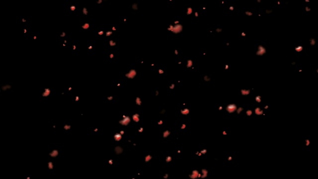 珊瑚色的尘埃漂浮在黑色的背景上视频素材