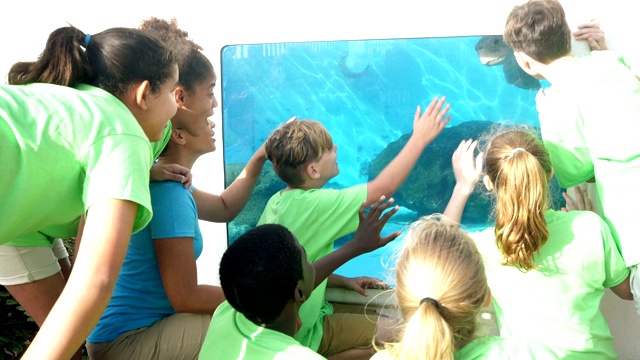 老师和孩子们在水族馆看海龟视频素材