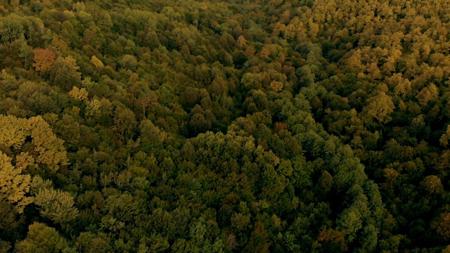 山脉和森林鸟瞰图视频素材