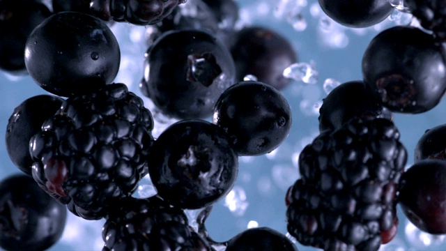 黑莓和蓝莓。缓慢的运动。视频下载
