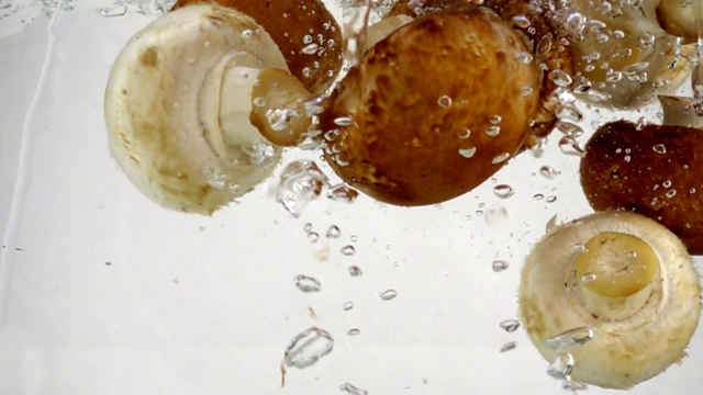 许多蘑菇香菇慢慢沉入沸水中，慢镜头特写视频下载