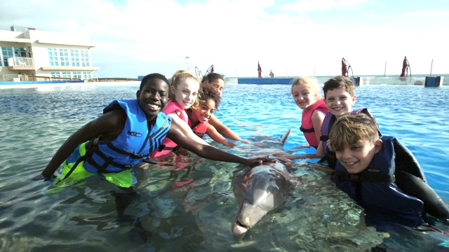 孩子和教练在水中与海豚互动视频下载