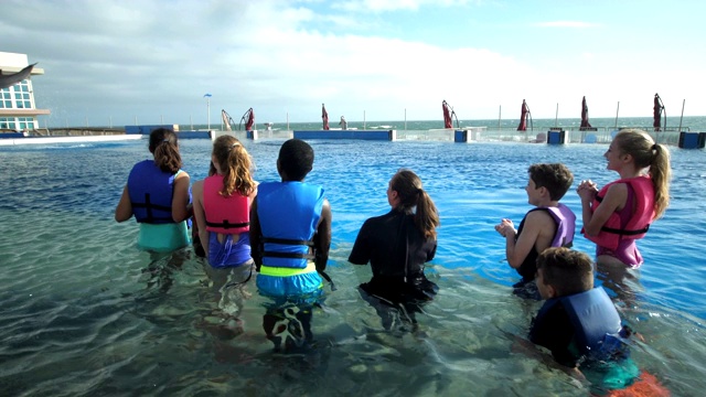 孩子和教练在水里看海豚跳高视频素材