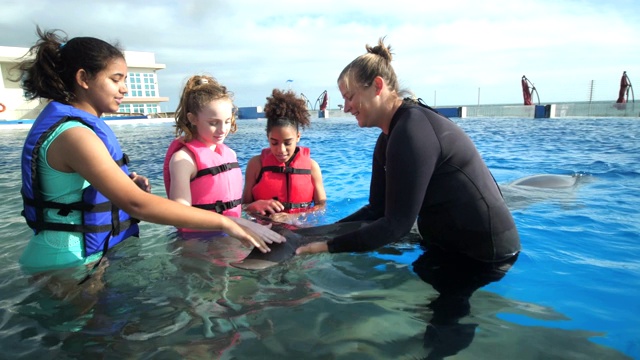女孩和教练在水里爱抚海豚视频下载